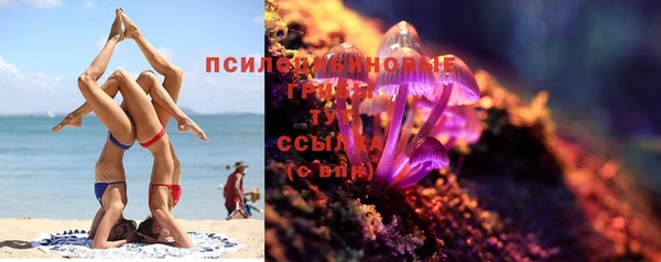 дурь Михайловка