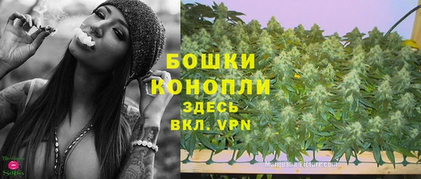 apvp Михайлов