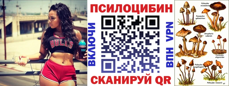 Псилоцибиновые грибы MAGIC MUSHROOMS  darknet какой сайт  Южно-Сахалинск 