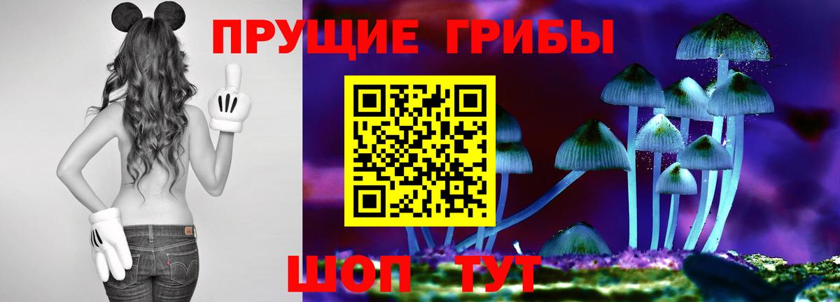 Псилоцибиновые грибы Psilocybine cubensis Южно-Сахалинск